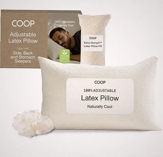 Coop Home Goods Adjustable Latex Pillow Queen