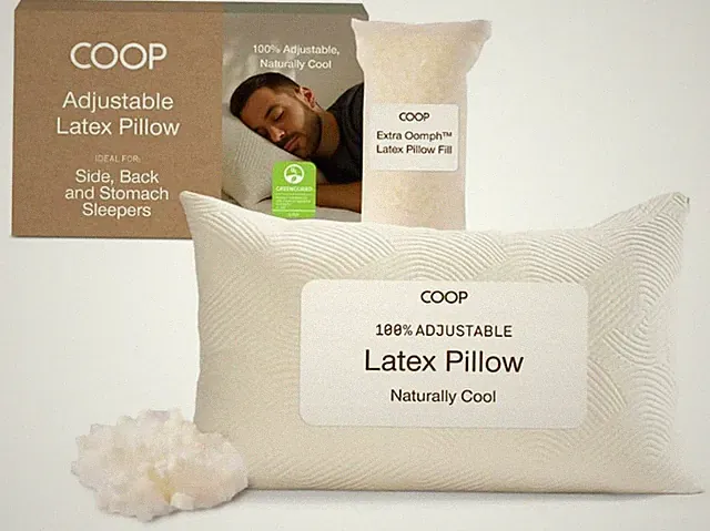 Coop Home Goods Adjustable Latex Pillow Queen, Talalay Latex & Microfiber Fill